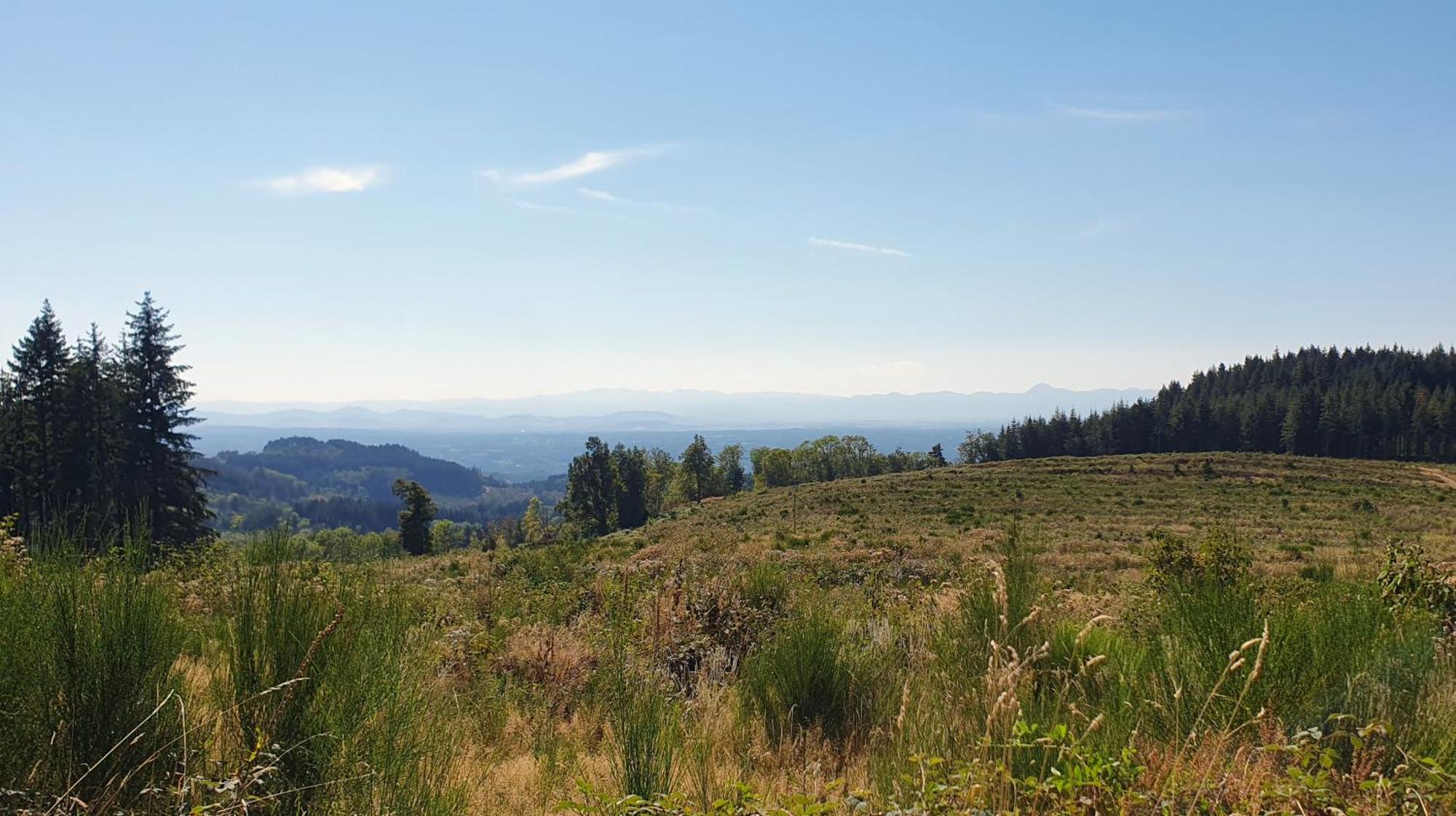 Domaine De Montvianeix Panzió Saint-Victor-Montvianeix Kültér fotó