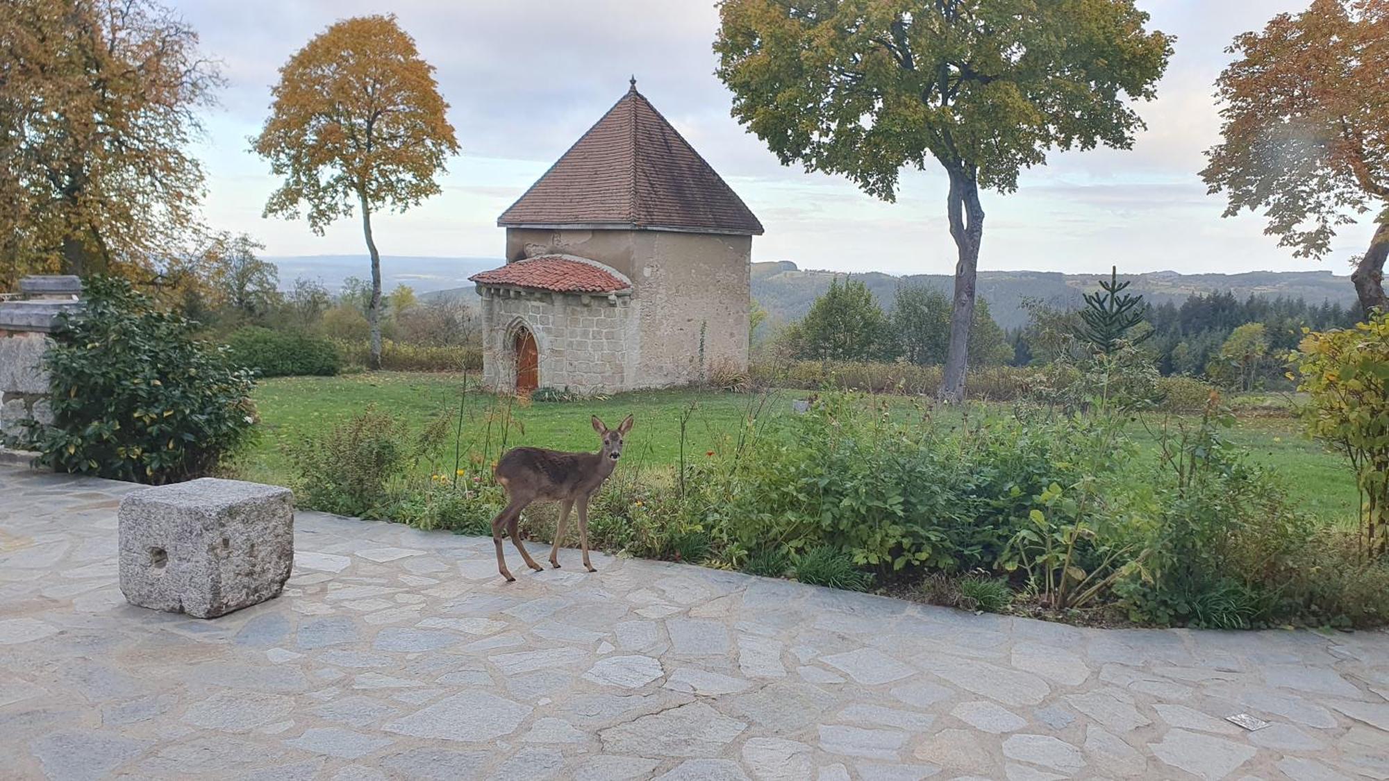 Domaine De Montvianeix Panzió Saint-Victor-Montvianeix Kültér fotó